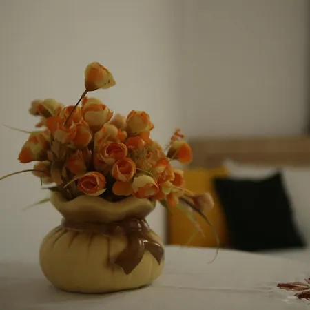 Juald ゲストハウス ジロカストラ