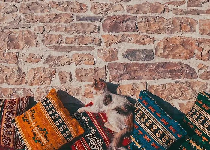 Guest house Juald 4*