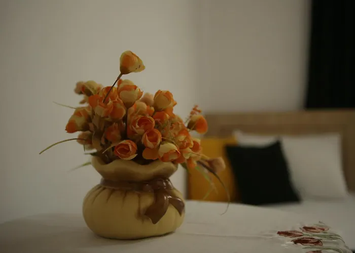 Juald Guest house Gjirokaster