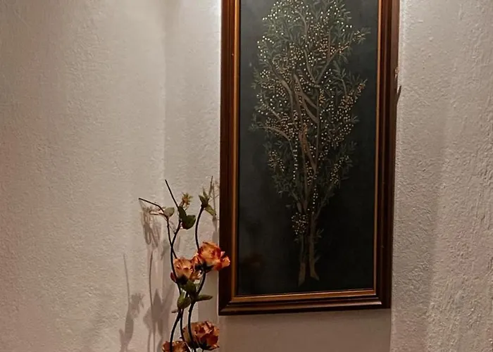 Guest house Juald 4*